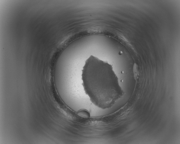 X0000063460637200602031835