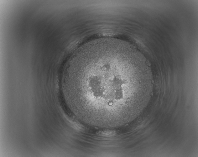 X0000063460639200602031835