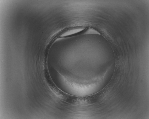 X0000063460640200602031835