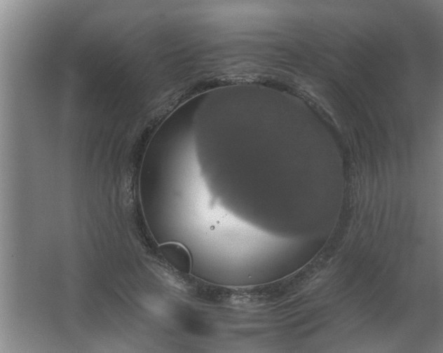 X0000063460641200602031835