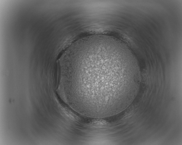 X0000063460642200602031835