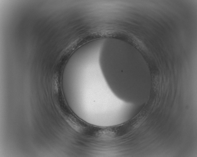 X0000063460644200602031835