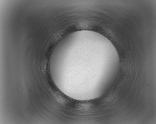 X0000063460645200602031835