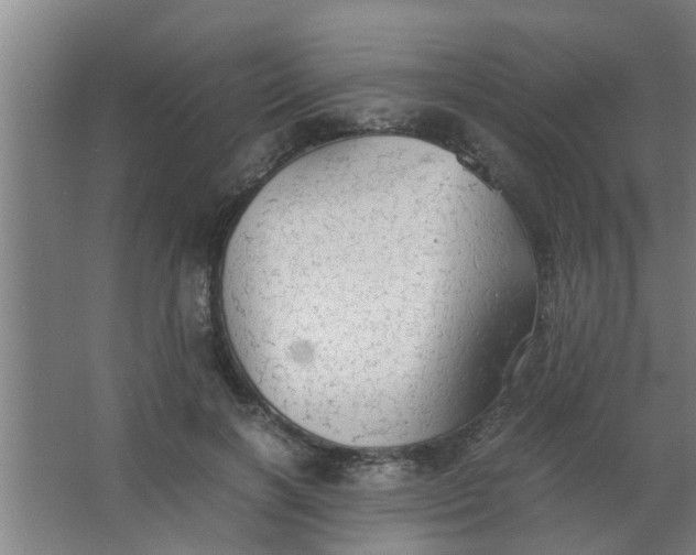 X0000063460646200602031835