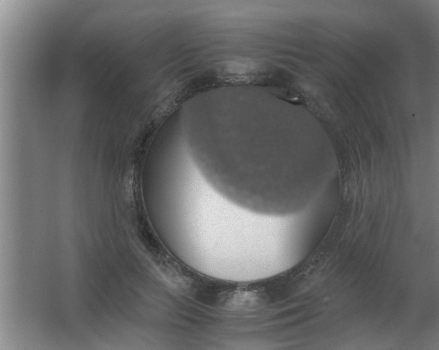 X0000063460647200602031835