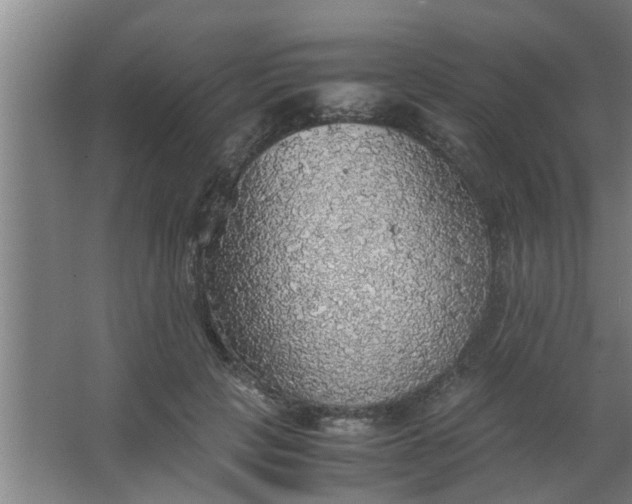 X0000063460649200602031835