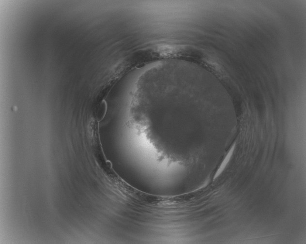 X0000063460650200602031835