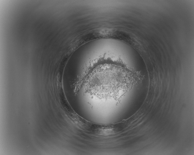 X0000063460651200602031835