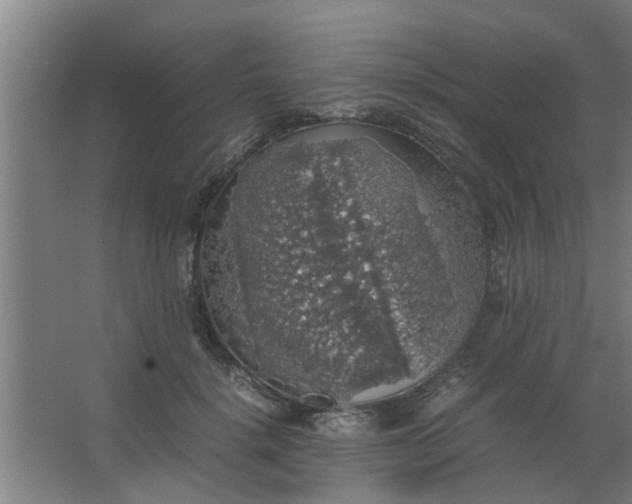 X0000063460652200602031835