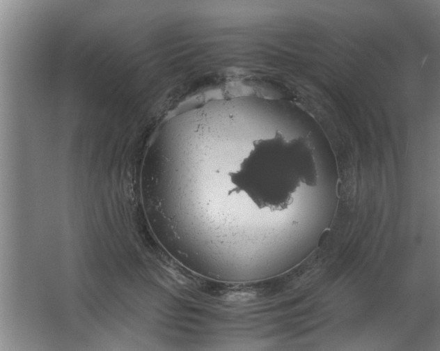 X0000063460653200602031835