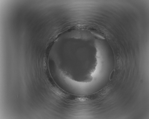 X0000063460654200602031835