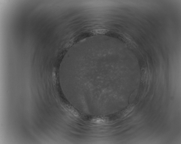 X0000063460655200602031835