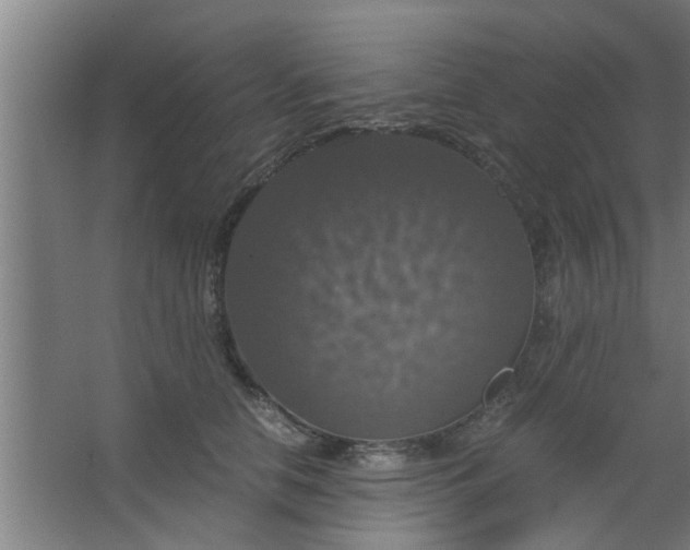 X0000063460658200602031835