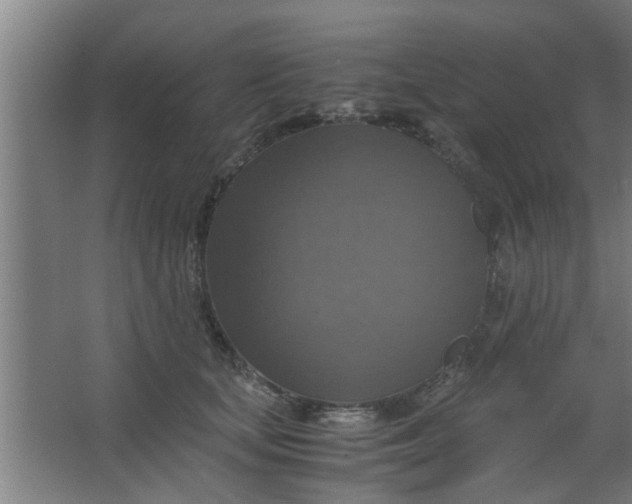 X0000063460659200602031835