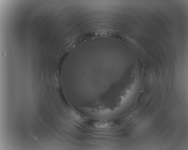 X0000063460661200602031835