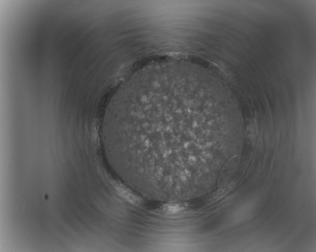 X0000063460662200602031835