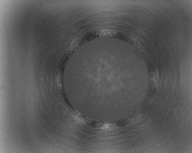 X0000063460663200602031835