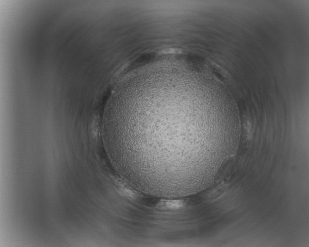 X0000063460665200602031835