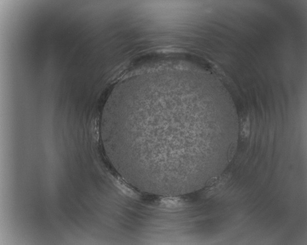 X0000063460666200602031835