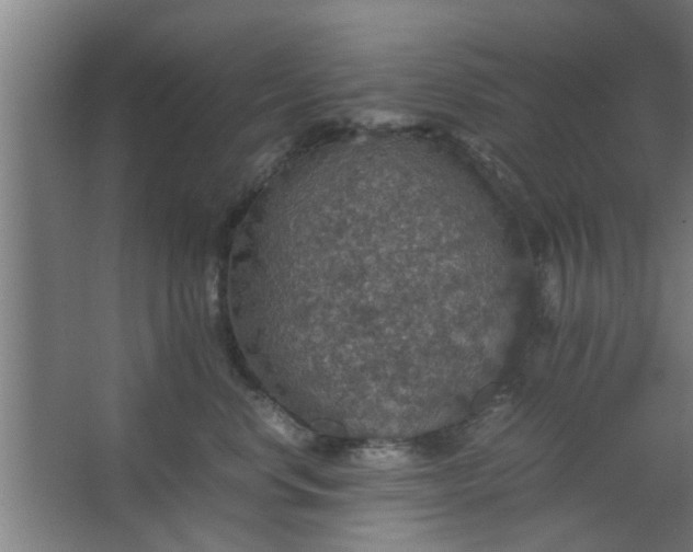 X0000063460668200602031835