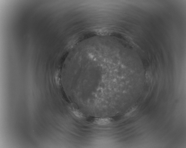 X0000063460671200602031835