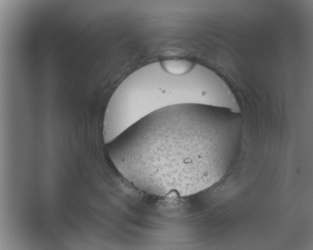 X0000063460672200602031835