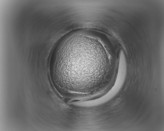 X0000063460673200602031834