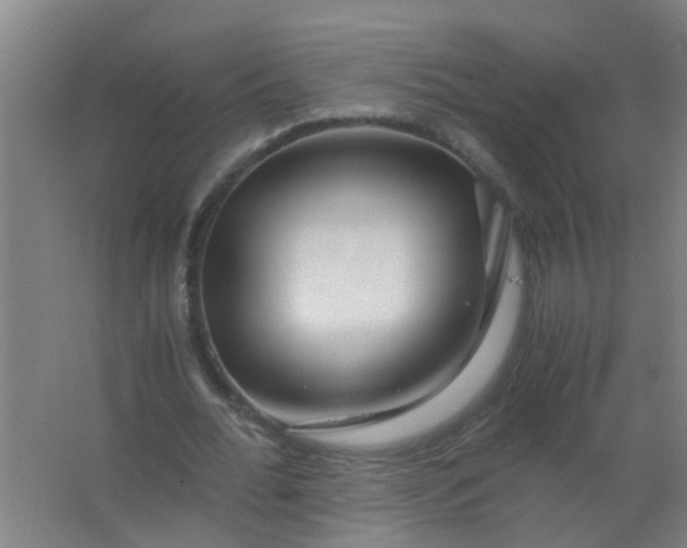 X0000063460676200602031834