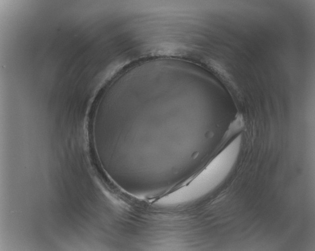 X0000063460678200602031834