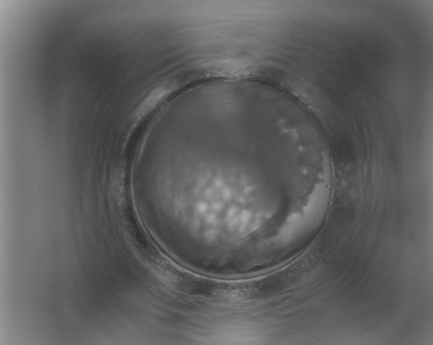 X0000063460679200602031834