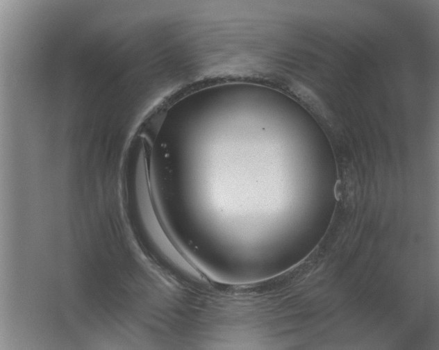 X0000063460680200602031834