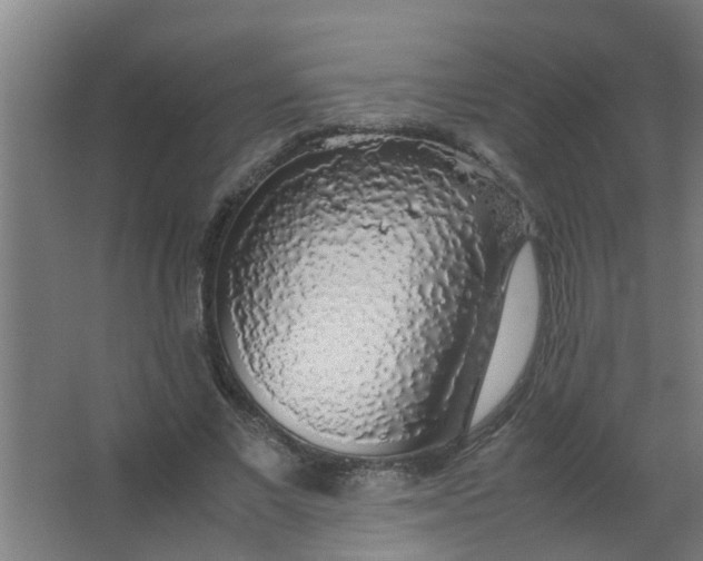 X0000063460685200602031834