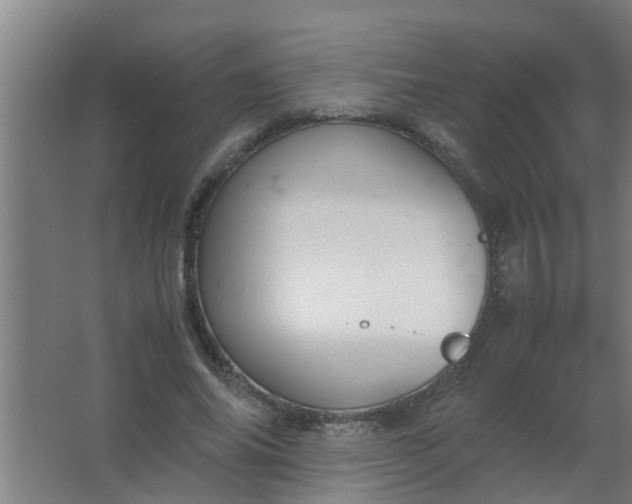 X0000063460686200602031834