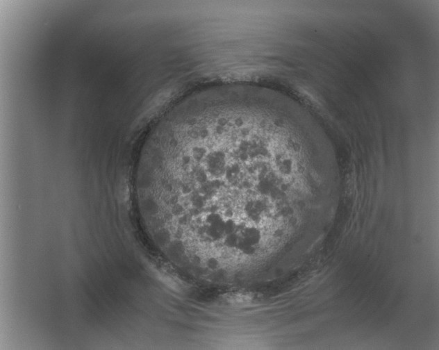 X0000063460687200602031834