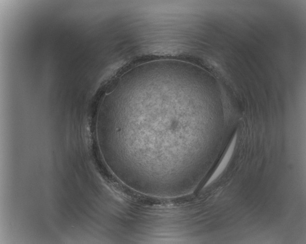 X0000063460688200602031834