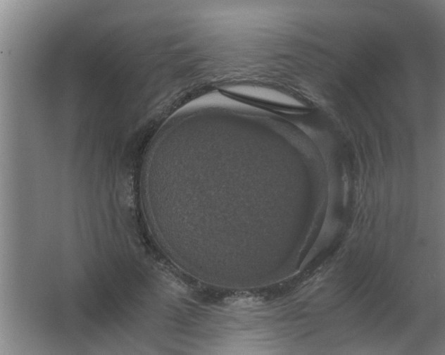 X0000063460689200602031834