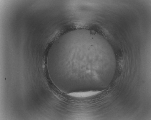 X0000063460691200602031834