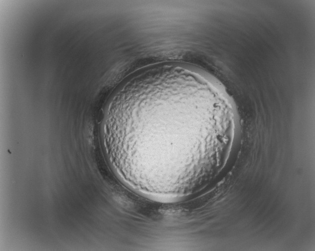 X0000063460693200602031834