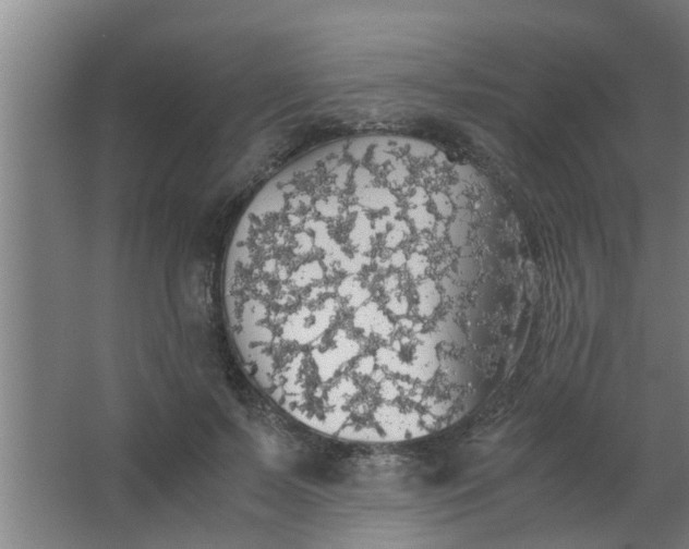 X0000063460695200602031834