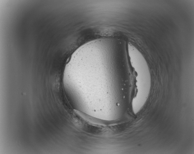 X0000063460697200602031834