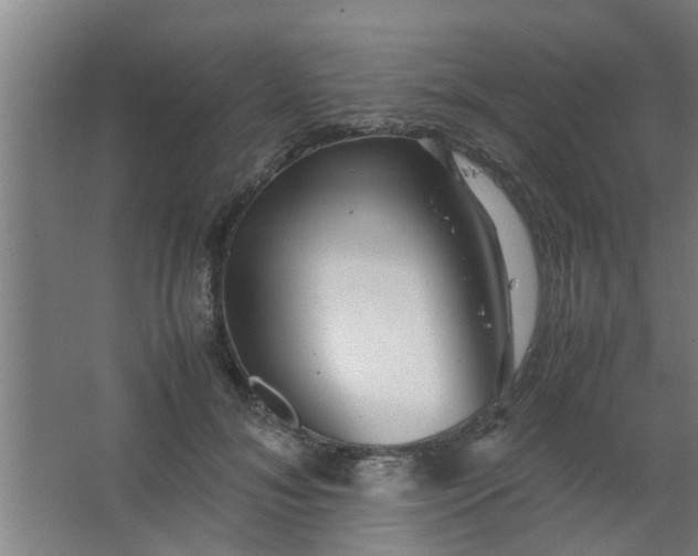 X0000063460700200602031834