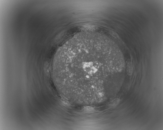 X0000063460701200602031834