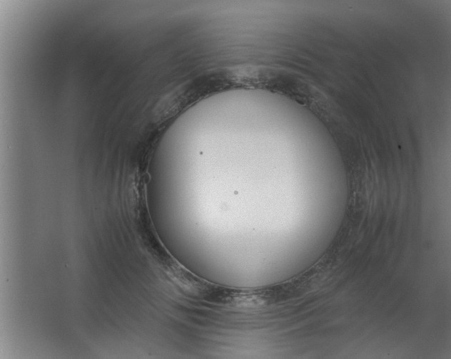 X0000063460702200602031834