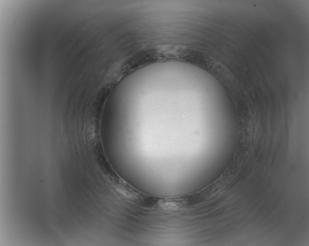 X0000063460706200602031834