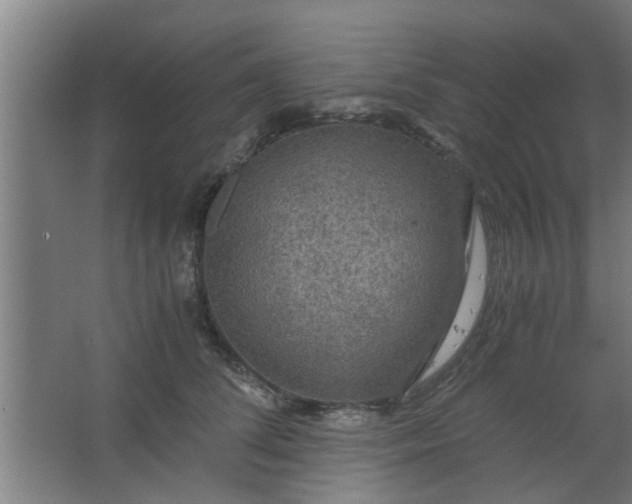 X0000063460708200602031834