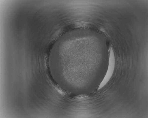 X0000063460712200602031834