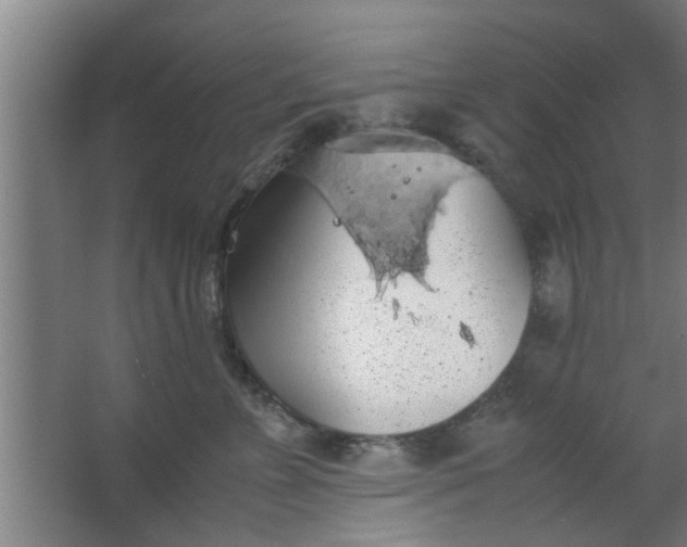 X0000063460715200602031834