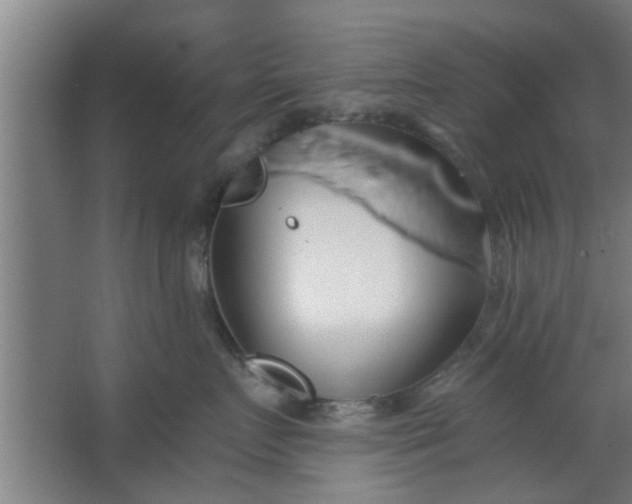 X0000063460719200602031834