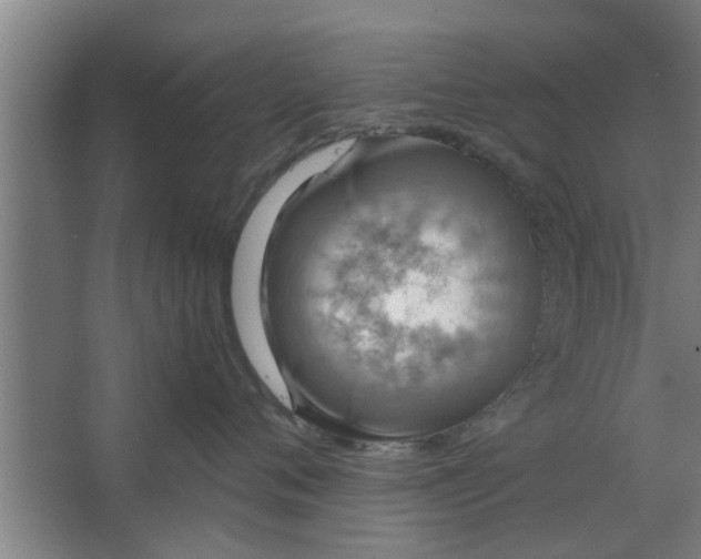 X0000063460720200602031834