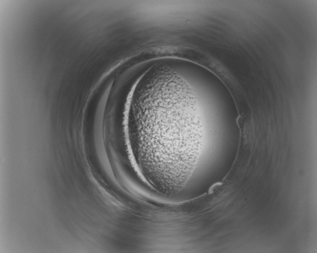 X0000063460722200602031833